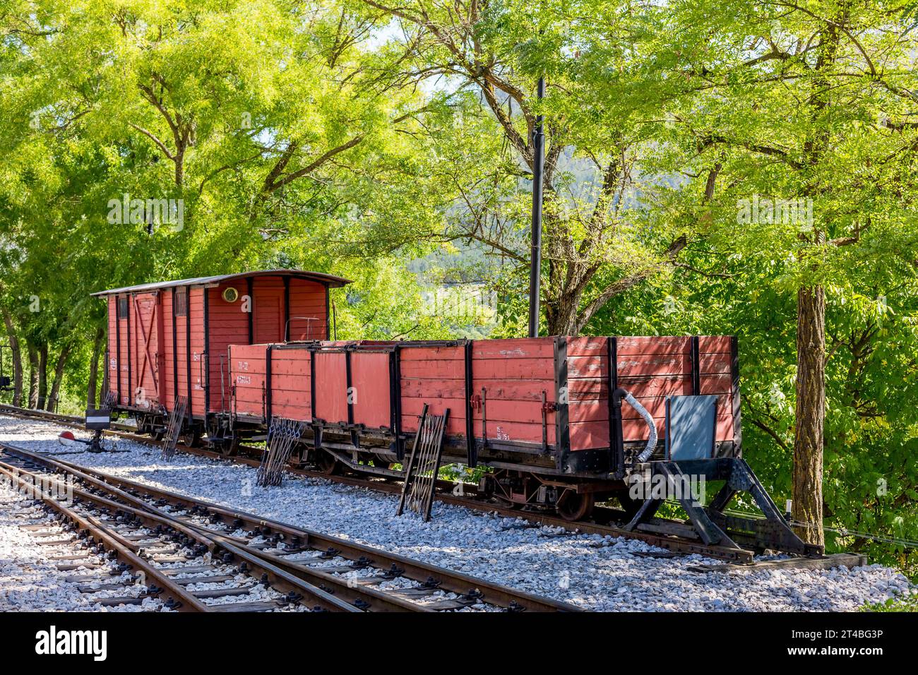 Old wooden planks covered freight train wagon in the countryside, Serbia, Europe Stock Photo