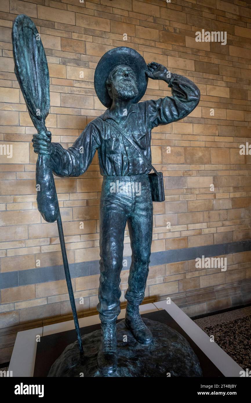 Alfred Russel Wallace, British Naturalist, Sculpture by Anthony Smith, Natural History Museum or Natural History Museum, Kensington, London, England Stock Photo