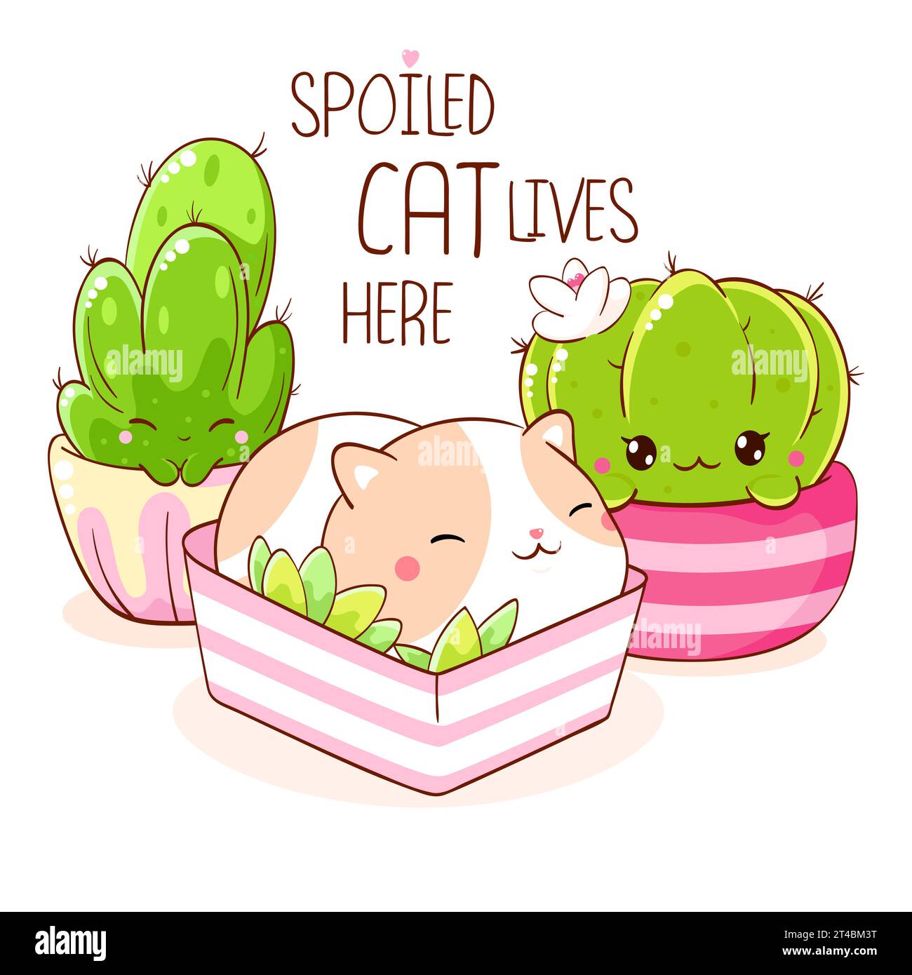 Cute fat cat sleeping in flower pot. Inscription Spoiled cat lives here.  Lovely kitty and cactus in kawaii style. Can be used for t-shirt print,  stick Stock Photo - Alamy