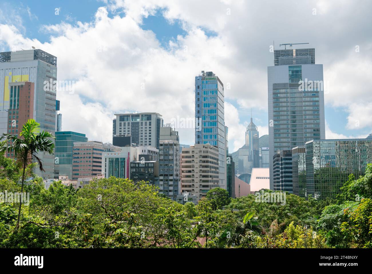 Tsim Sha Tsui city buildings view from Kowloon Park in Hong Kong Stock Photo
