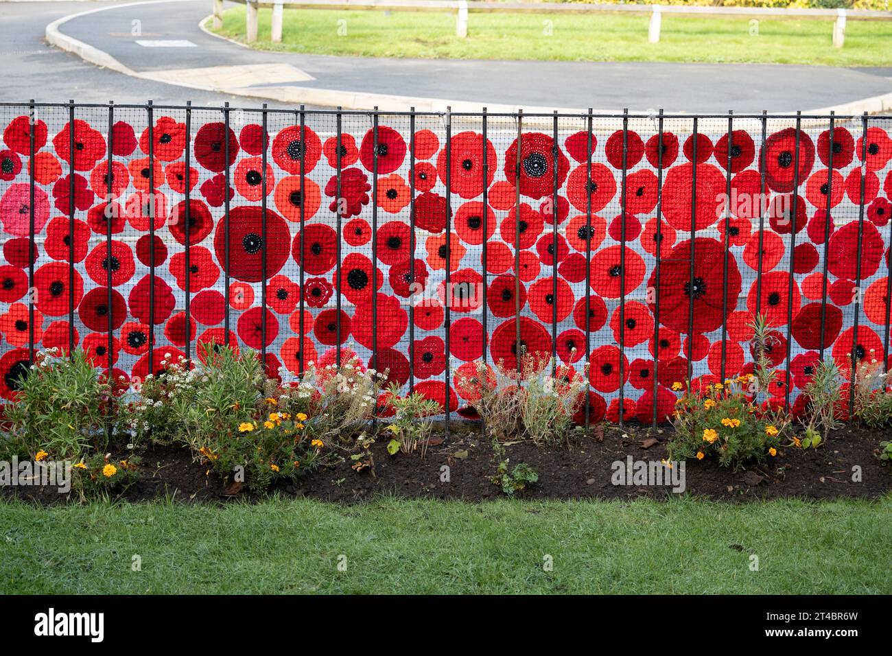 Knitted poppies display outside Wellesbourne Methodist Church