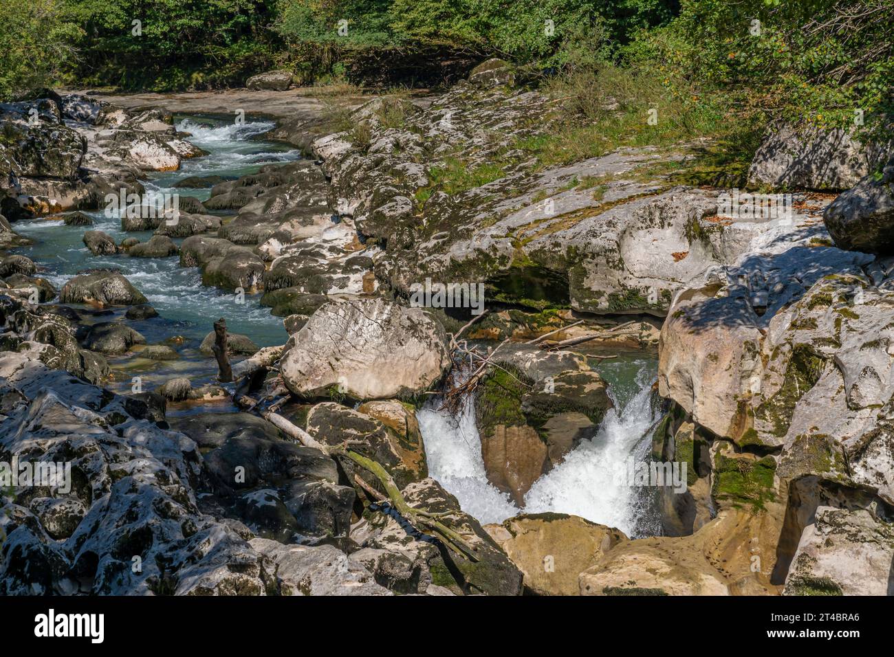 View of the Los Pertes de la Valserine with its waterfalls and the forest around Stock Photo