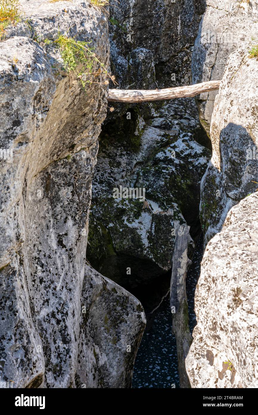 View of the Los Pertes de la Valserine with its waterfalls and the forest around Stock Photo