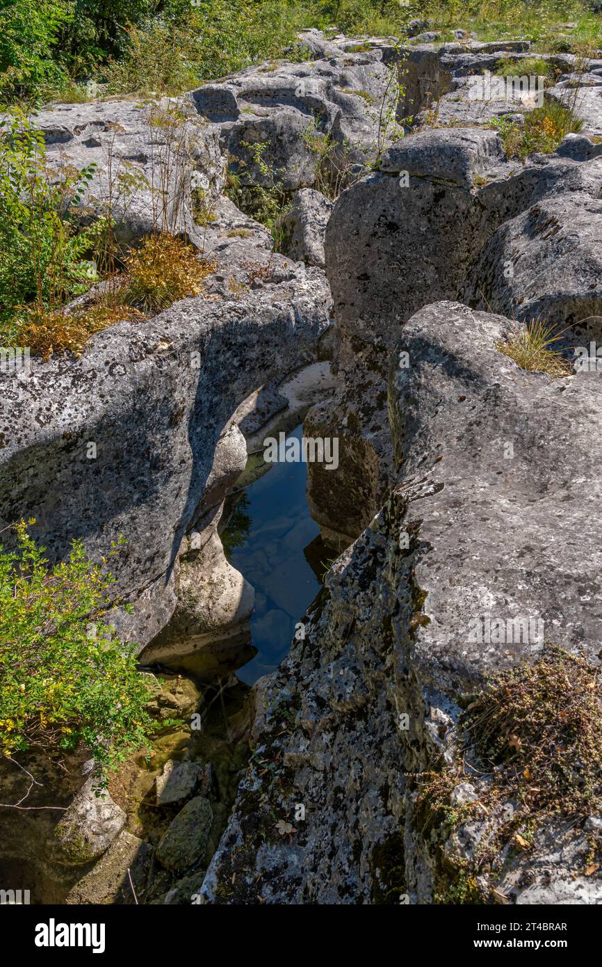 View of the Los Pertes de la Valserine with its waterfalls and the forest around Stock Photo