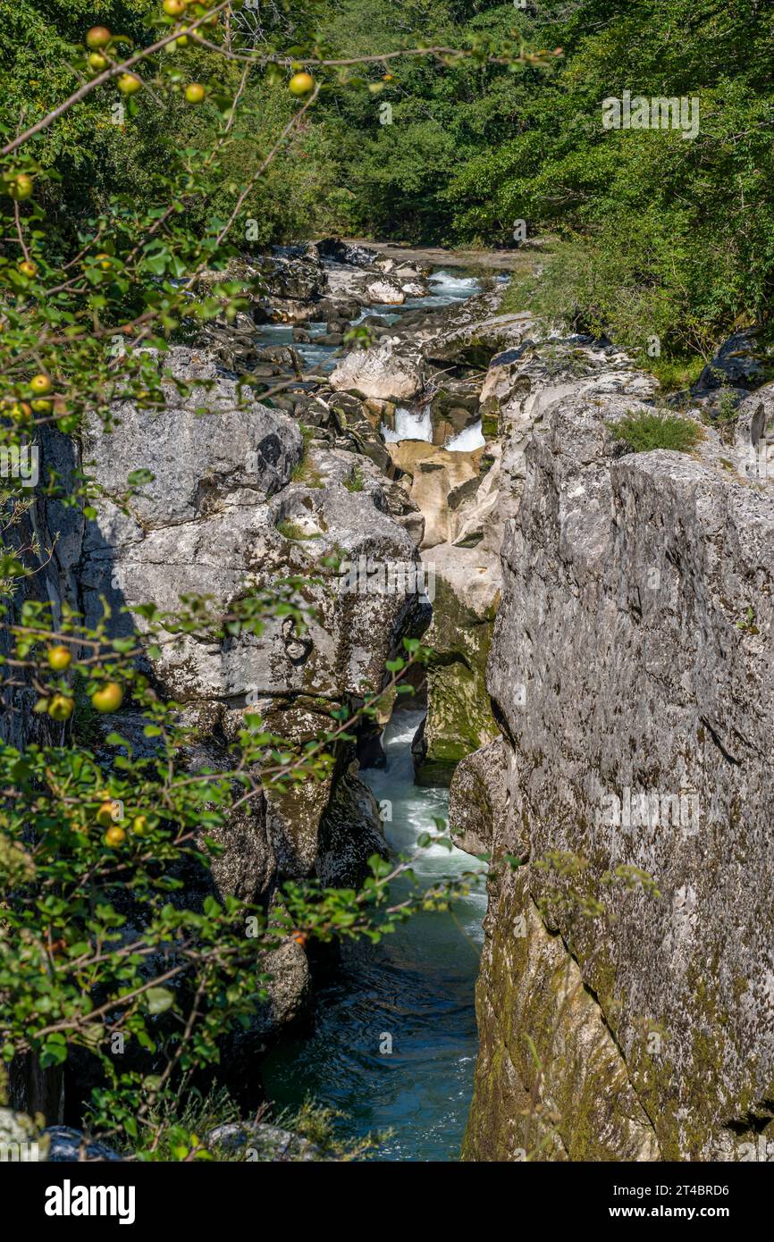 View of the Los Pertes de la Valserine with its waterfalls and the forest around Stock Photo