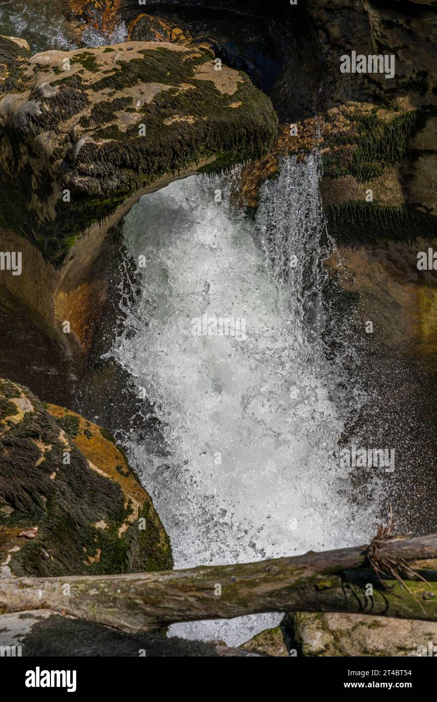 View of the Los Pertes de la Valserine with its waterfalls and the forest around Stock Photo