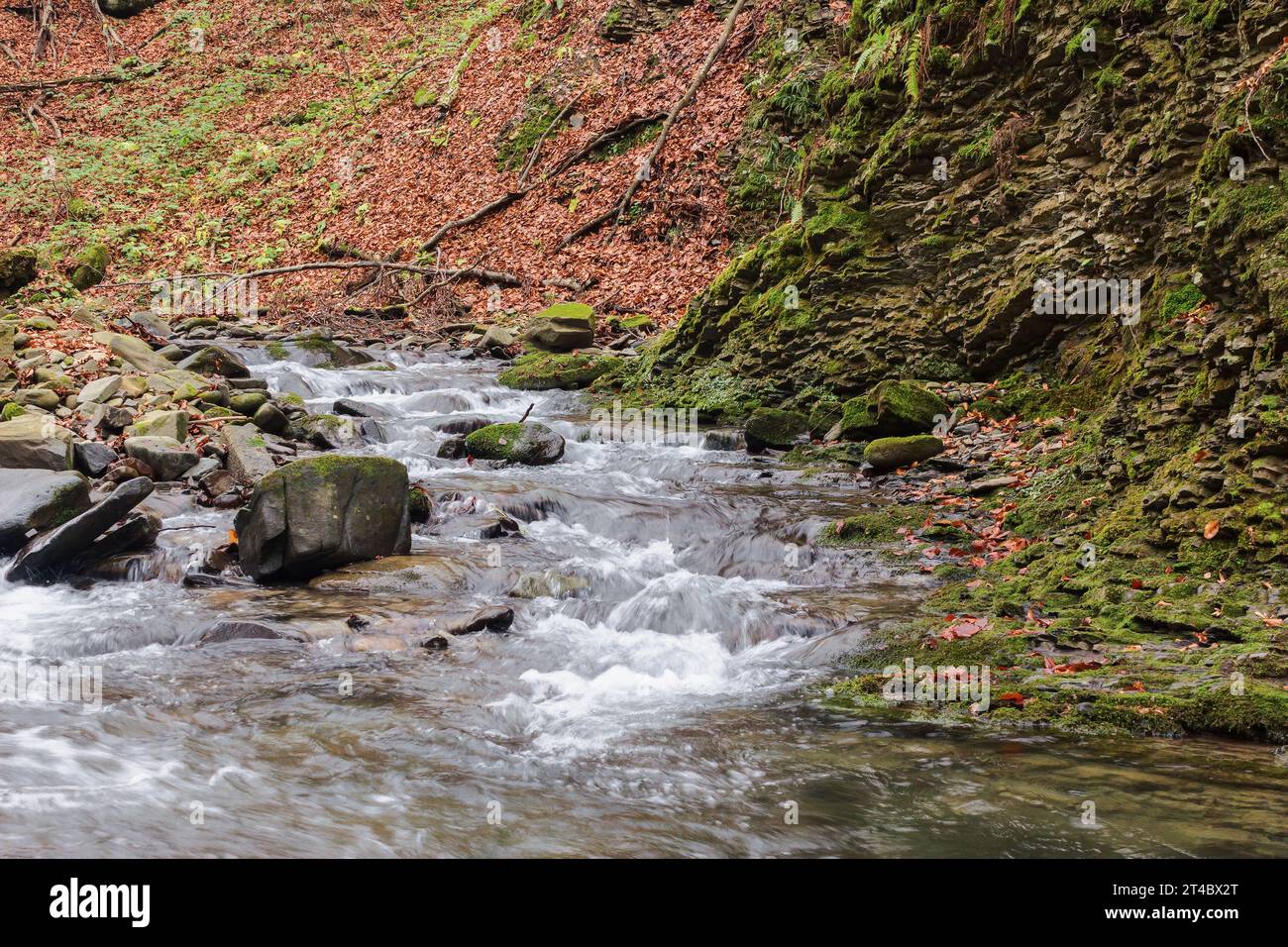 water stream among stones. rocky shore in fall foliage. autumnal nature background Stock Photo