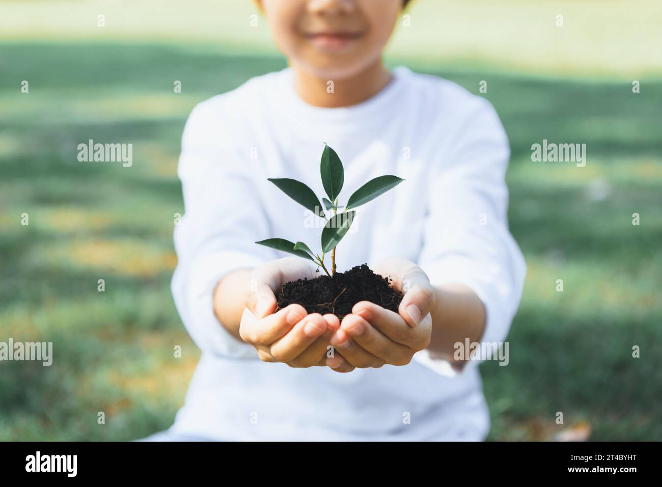 Promoting eco awareness on reforestation and long-term environmental 