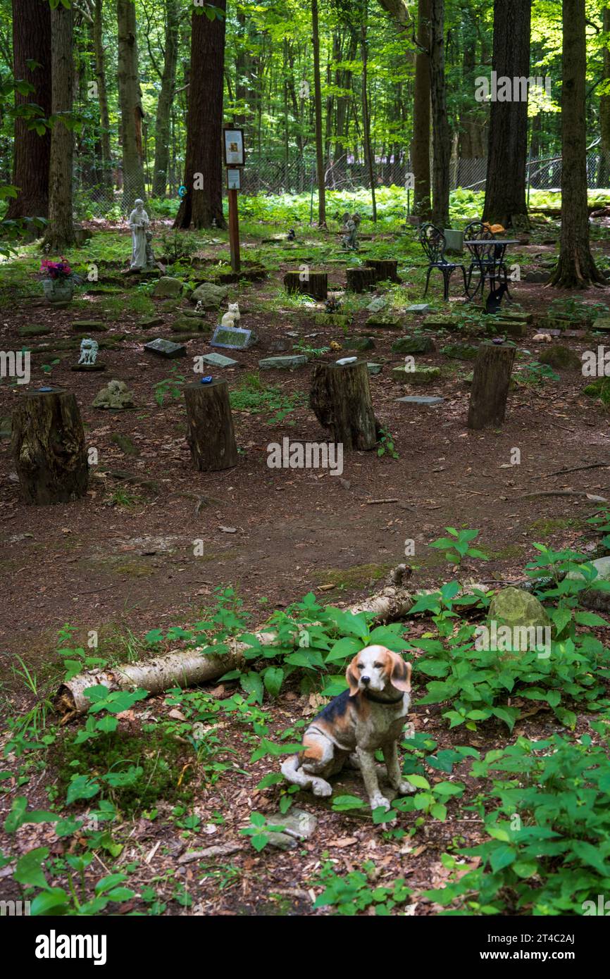 The Lily Dale Assembly in New York State Stock Photo Alamy