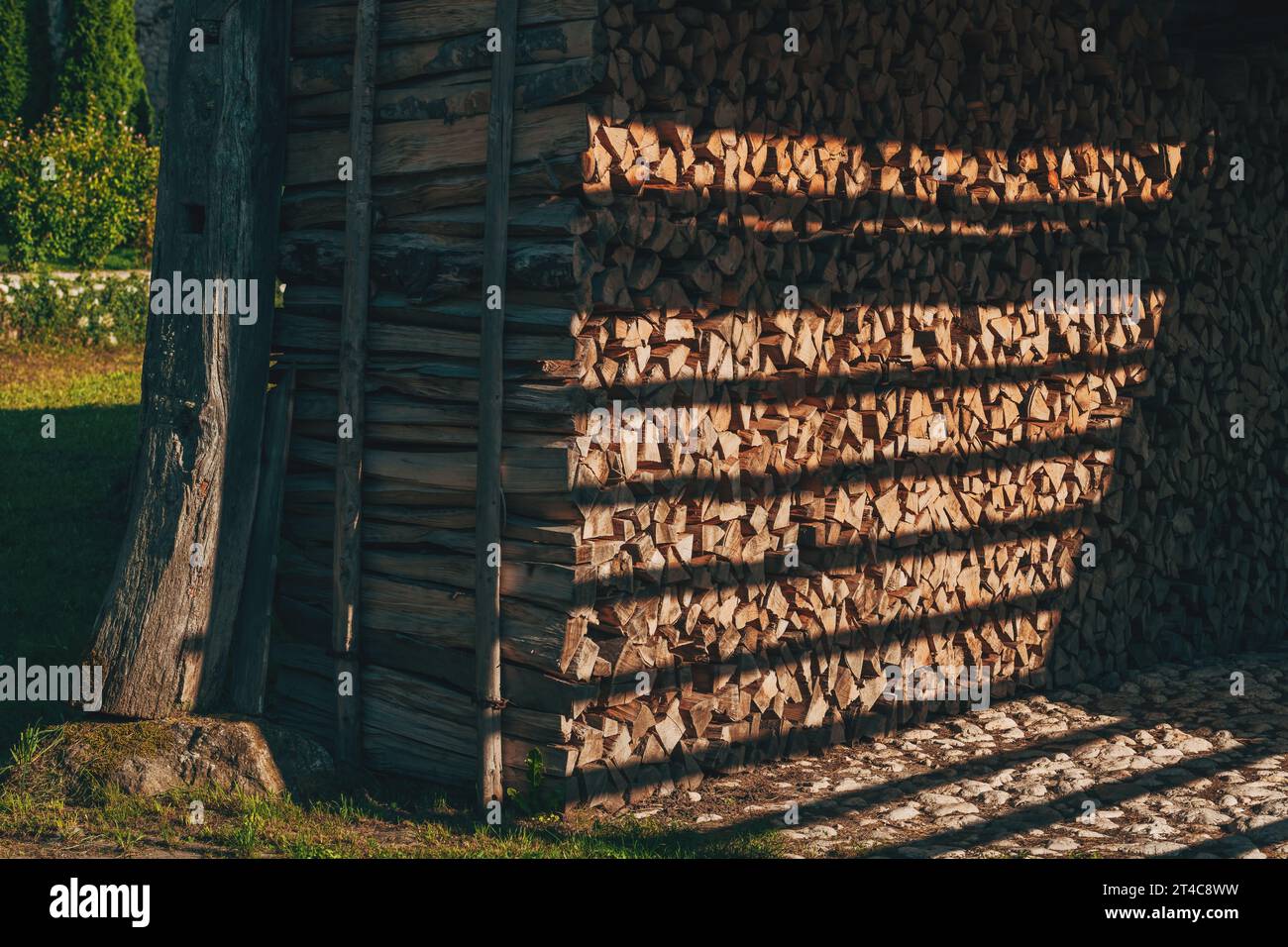 Stacked chopped firewood in farm shed for winter season, selective focus Stock Photo