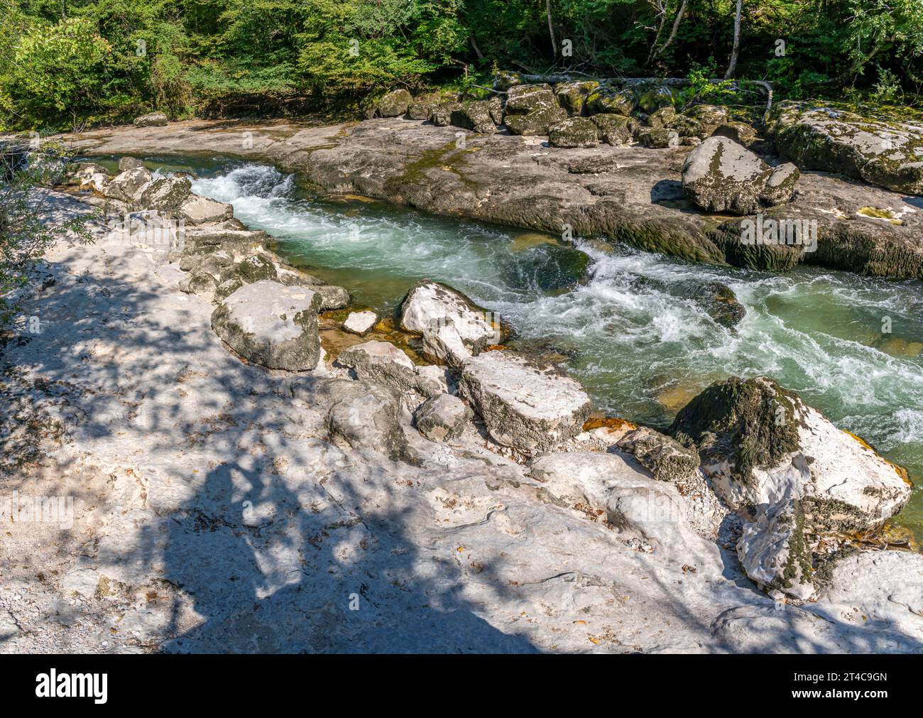 View of the Los Pertes de la Valserine with its waterfalls and the forest around Stock Photo