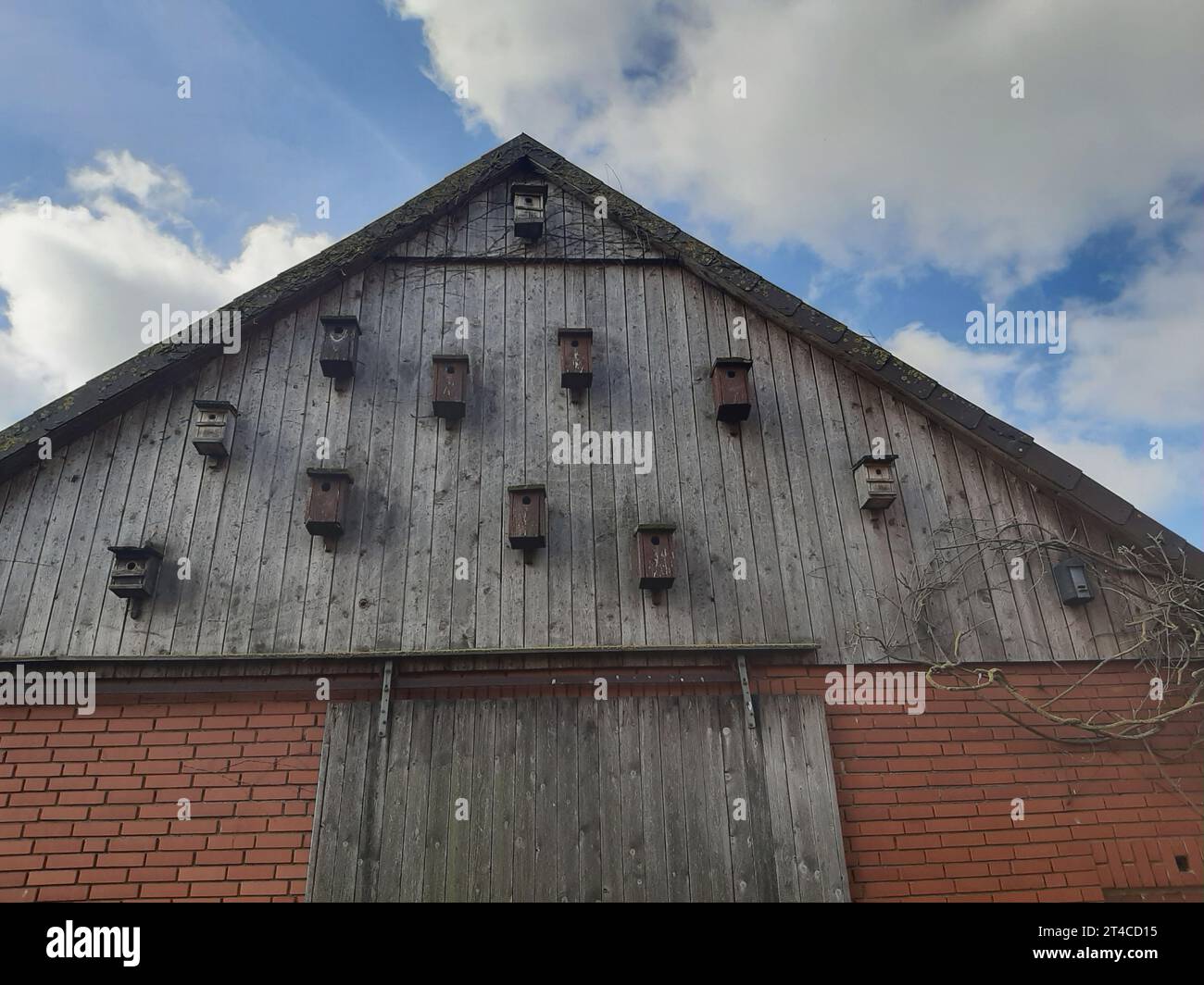 wooden bird nesting boxes at a barn, Germany Stock Photo - Alamy