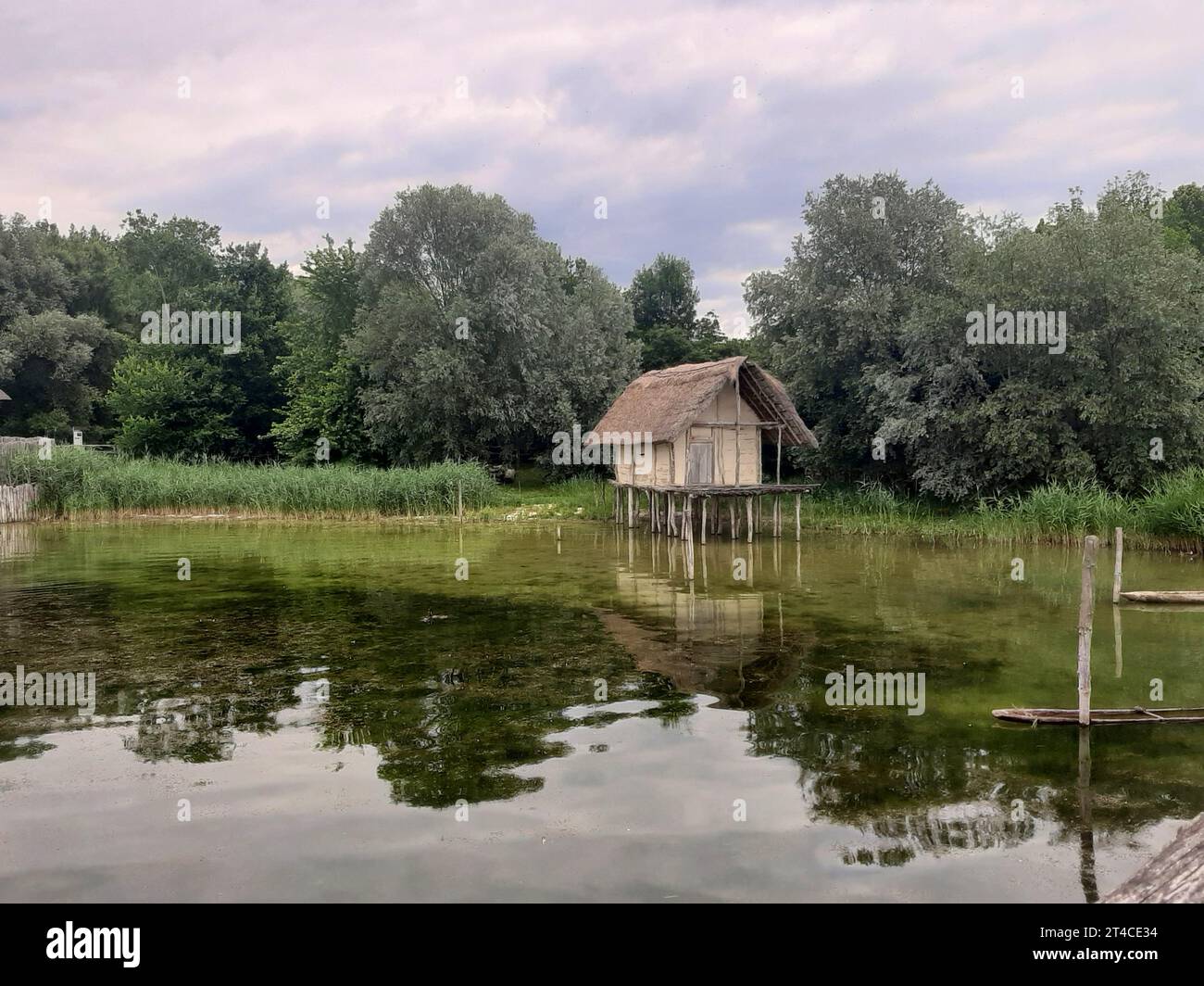Lake Dwelling on Lake Constance, Germany Stock Photo