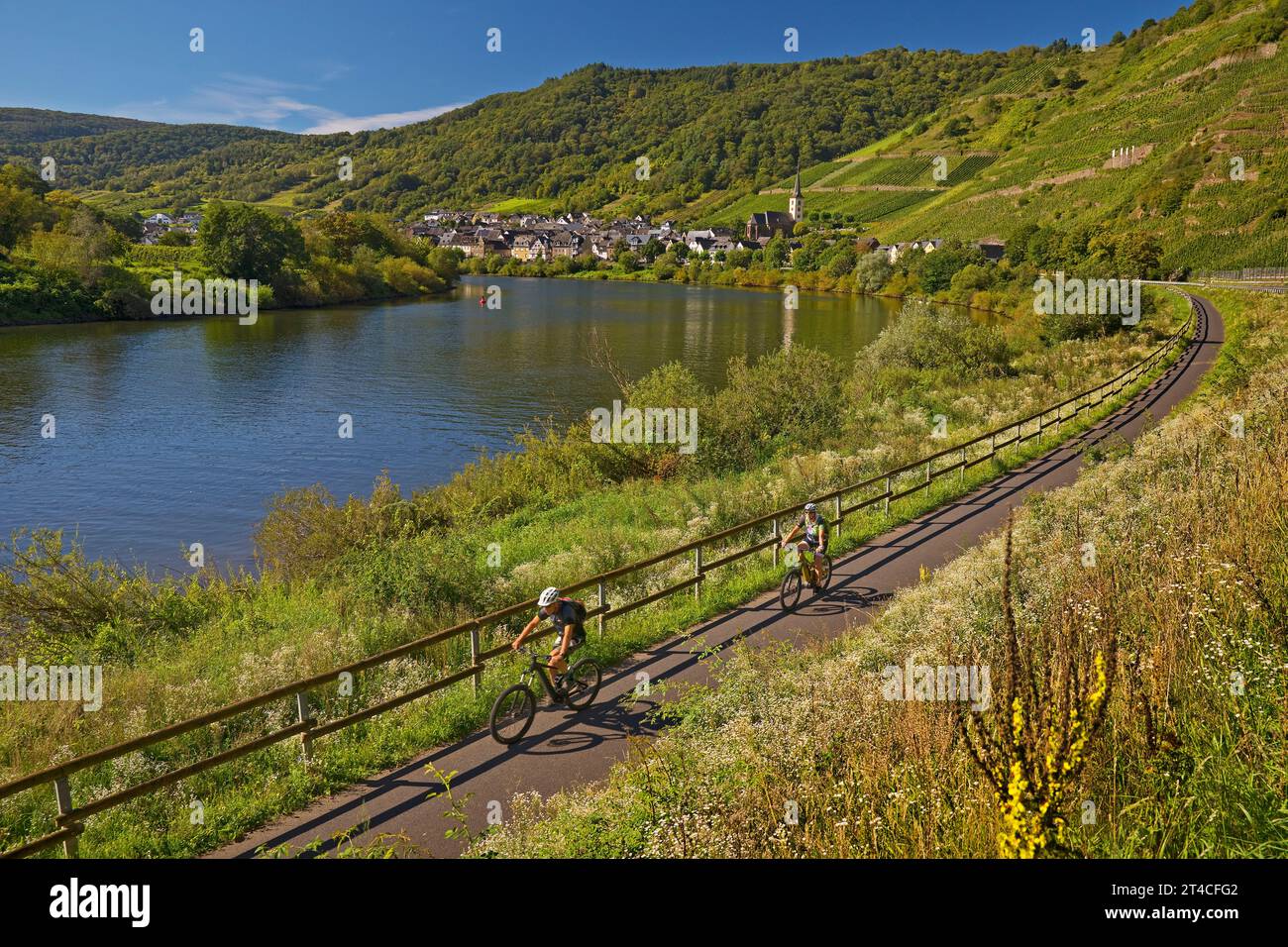 cyclists on the Moselle cycle path with a view of the village of Bremm, Germany, Rhineland-Palatinate, Bremm Stock Photo