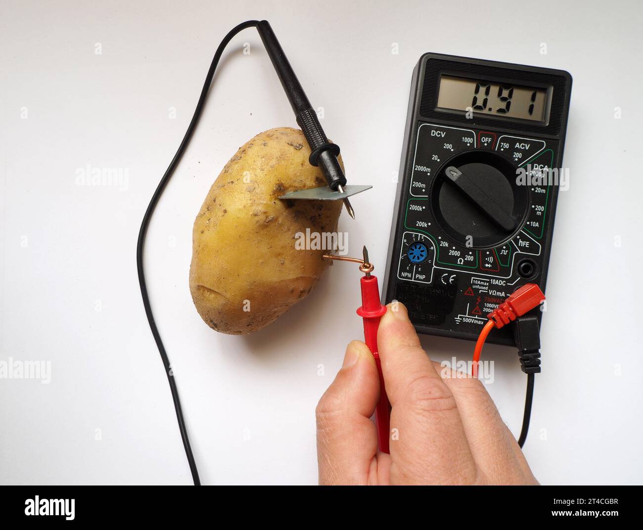 Generating electric from a potato and measuring its with voltmeter