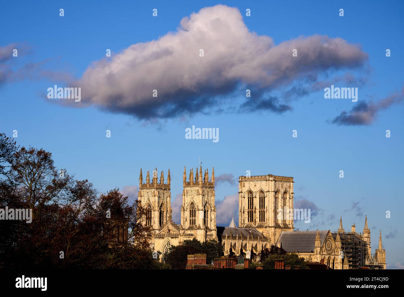 york-minster-york-picture-date-saturday-14-october-2023-stock-photo