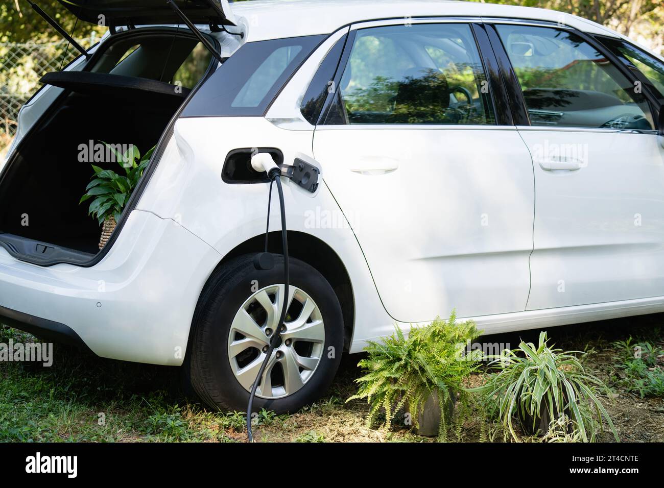 Electric car with flowers charges near a country house. Stock Photo