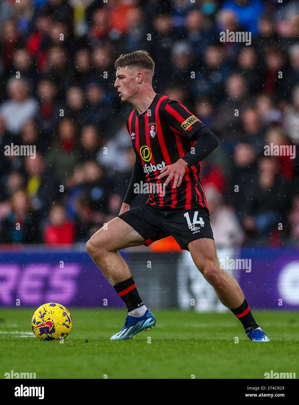 Alex scott bournemouth hires stock photography and images Alamy