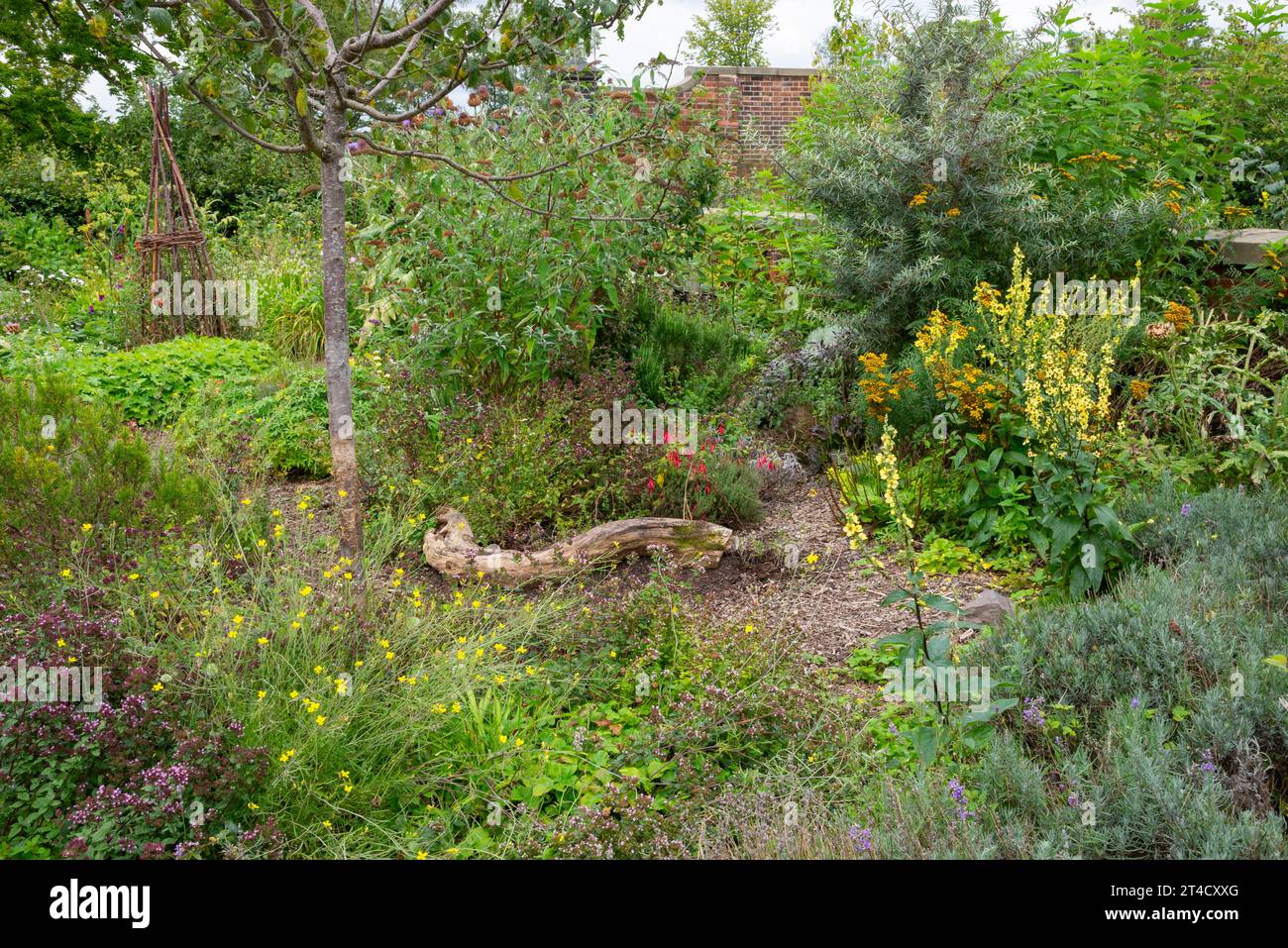 RHS Bridgewater garden at Worsley, Salford, Manchester, England. Stock Photo