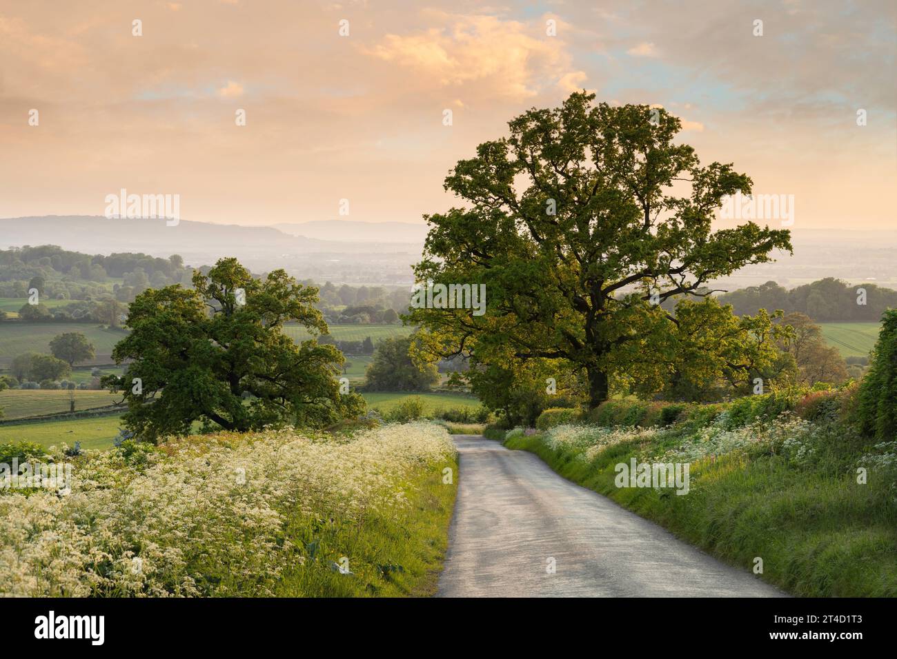 Rural Cotswolds in spring, Chipping Campden, Gloucestershire, England ...