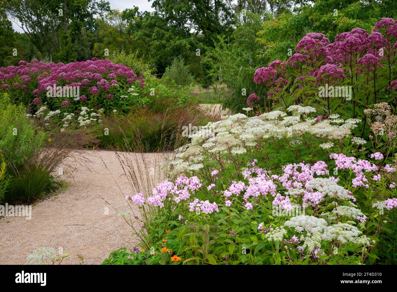 Welcome Garden in late summer at RHS Bridgewater garden at Worsley, Salford, Manchester, England. Stock Photo