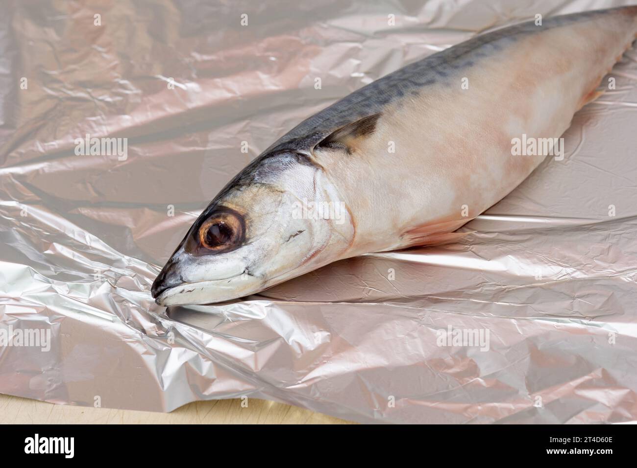 Whole raw mackerel fish on tinfoil Stock Photo