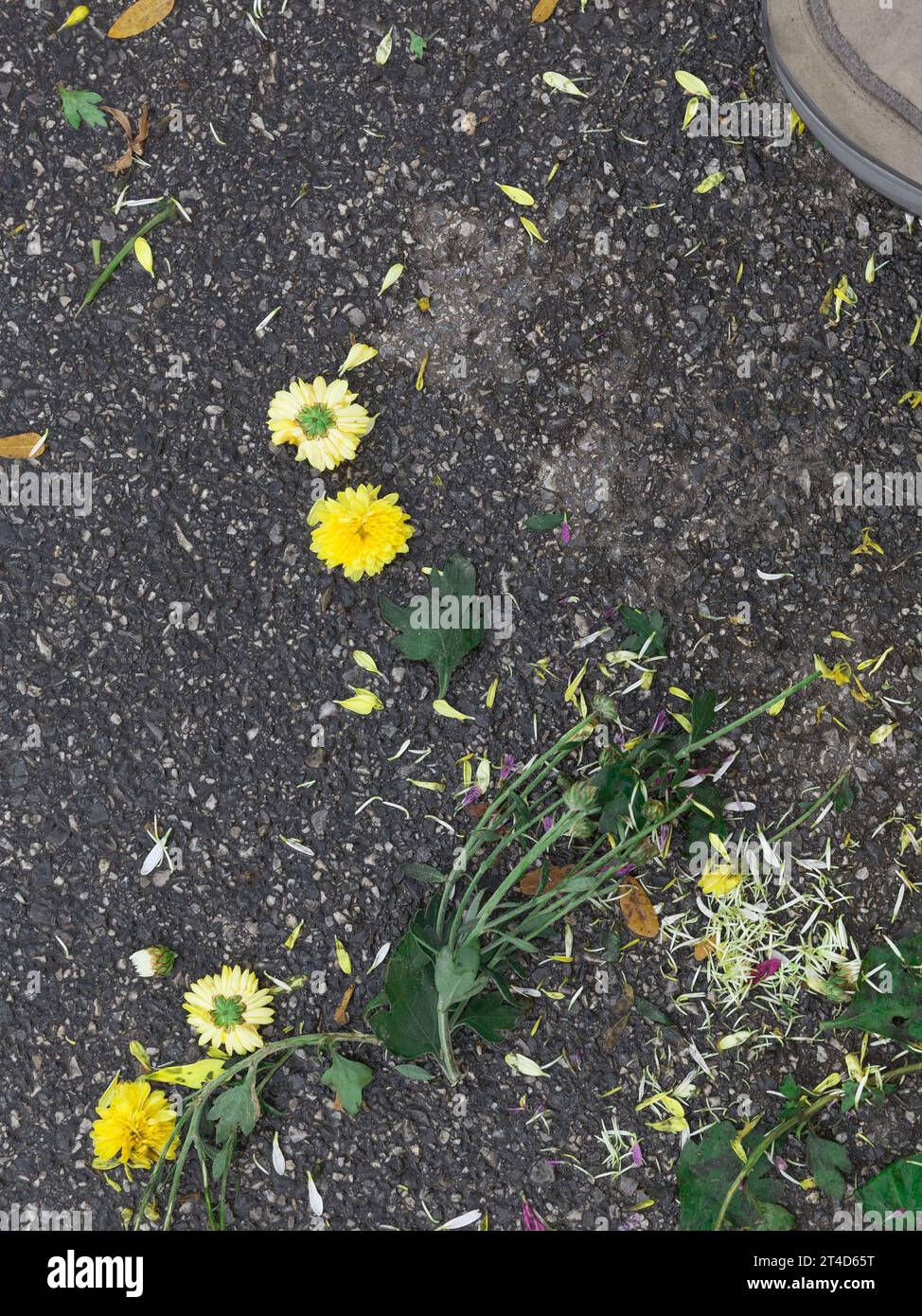 Urban nature mort Stock Photo Alamy