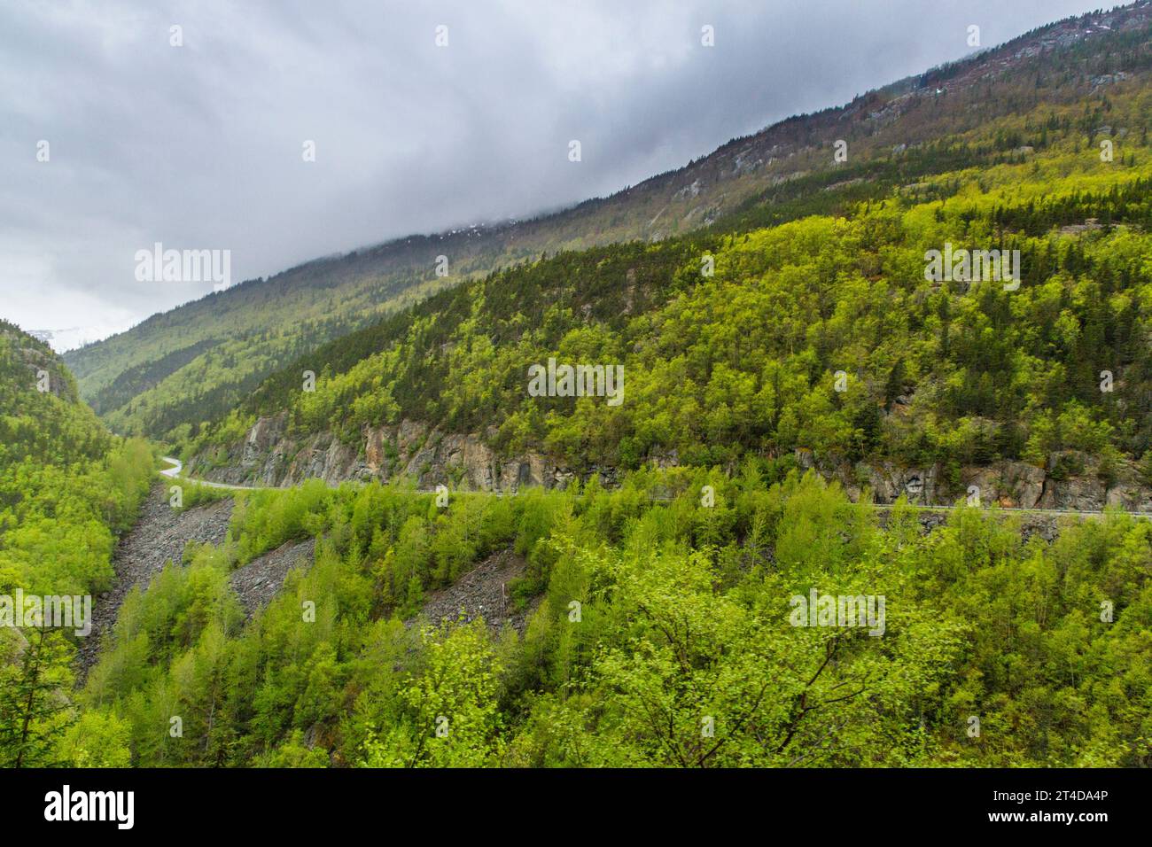 Klondike Highway in Yukon Territory of Canada. Stock Photo