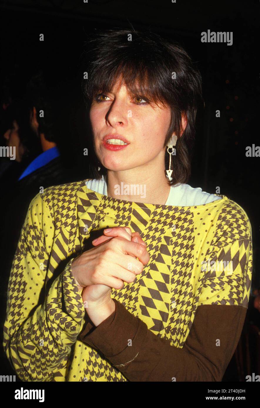 CHRISSIE HYNDE ;(born 7 September 1951) ; American-British musician ; She is a founding member and the lead vocalist, guitarist, and primary songwriter of the rock band the Pretenders ;  Credit: Lynn Mcafee / Performing Arts Images www.performingartsimages.com Stock Photo