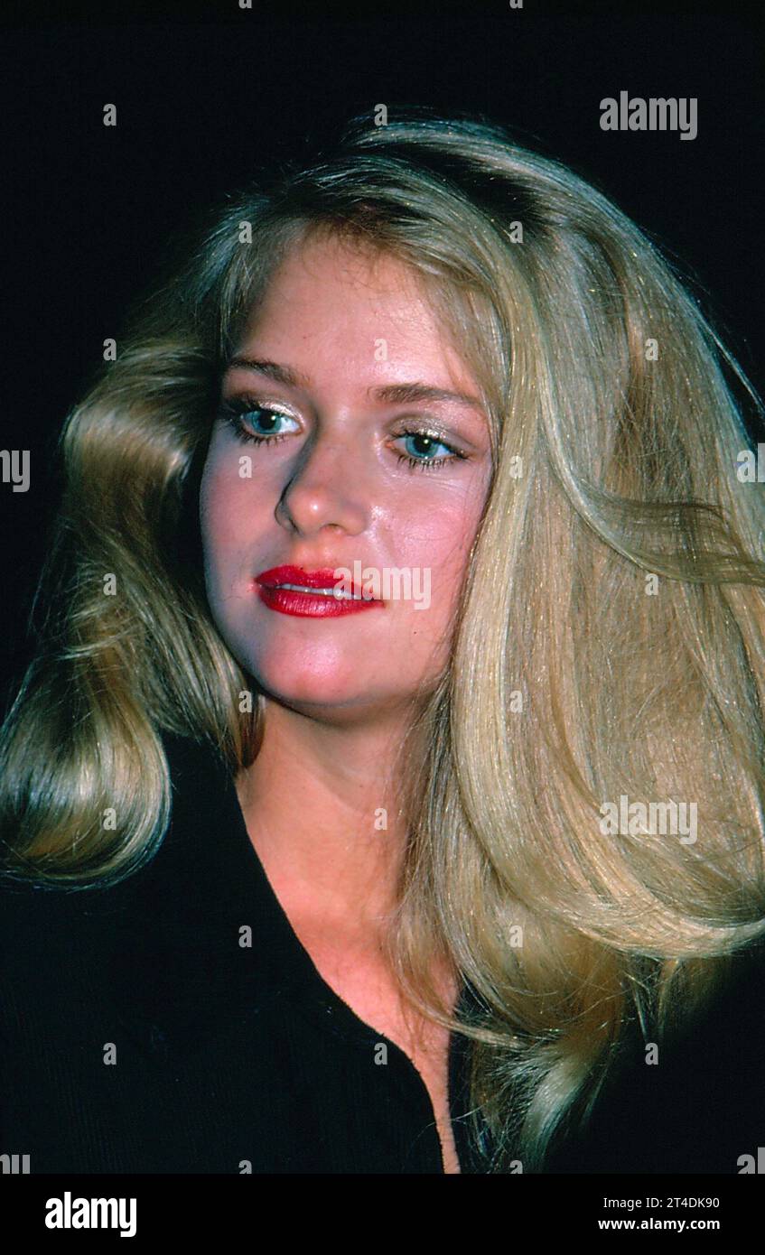Donna dixon hi-res stock photography and images - Alamy