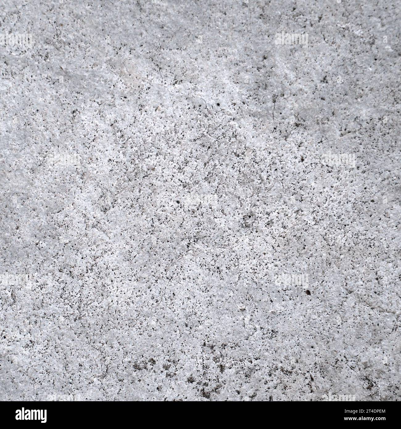 Old concrete wall for background and design Stock Photo