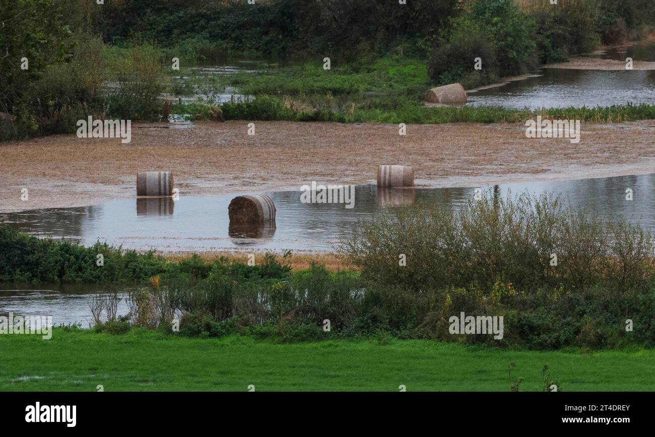 Moira, County Down, Northern Ireland, UK. 30th Oct 2023. UK weather - already over its banks the River Lagan rose higher following more heavy rain overnight. Surrounding farmland in the Lagan Valley is under substantial water for this time of year and the levels will remain high with further rain warnings in place between now and Friday as another storm-front rolls in. Credit: CAZIMB/Alay Live News. Stock Photo