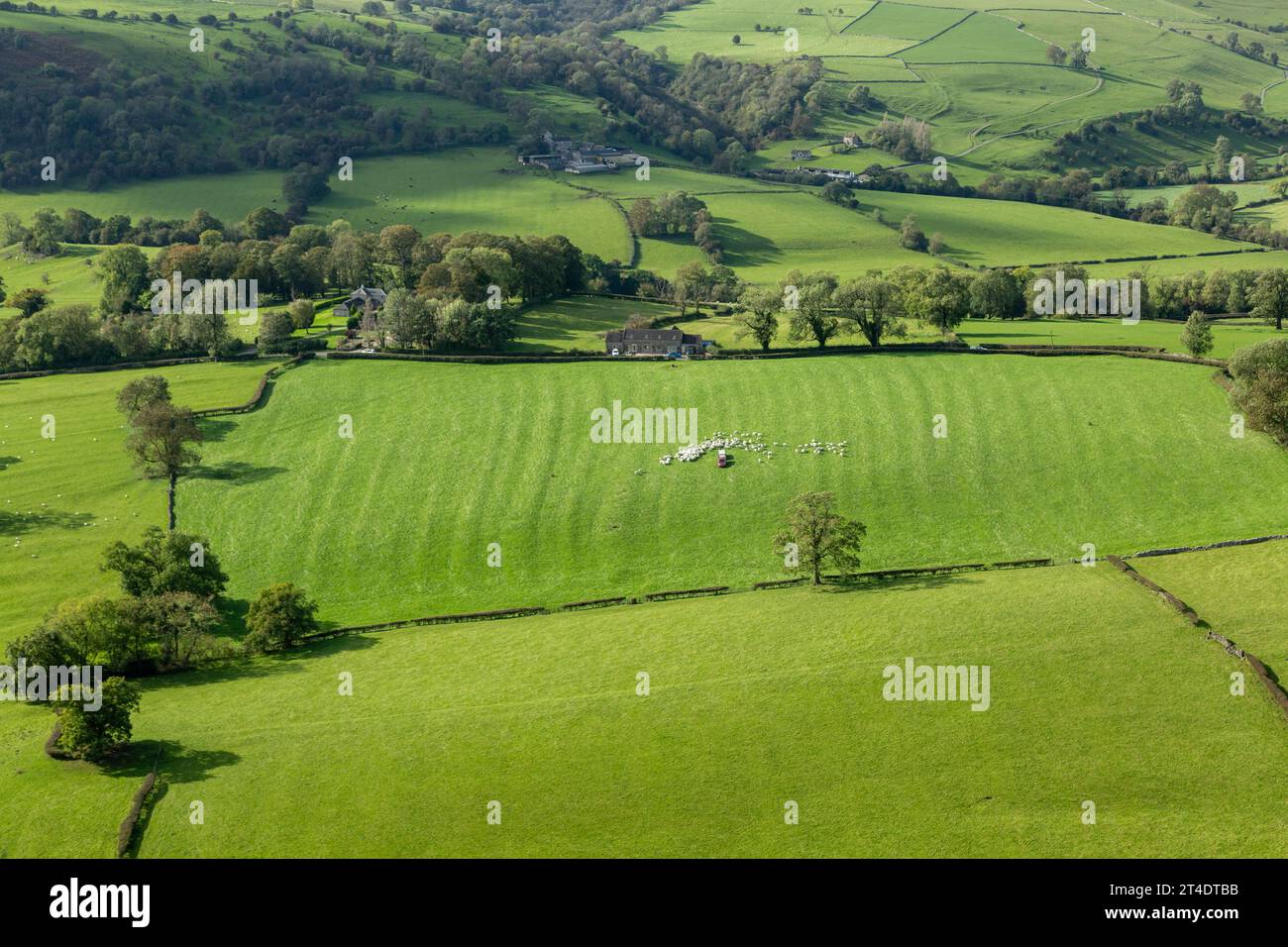A picturesque patchwork of green fields near Ilam, viewed from Bunster Hill, Staffordshire, England Stock Photo