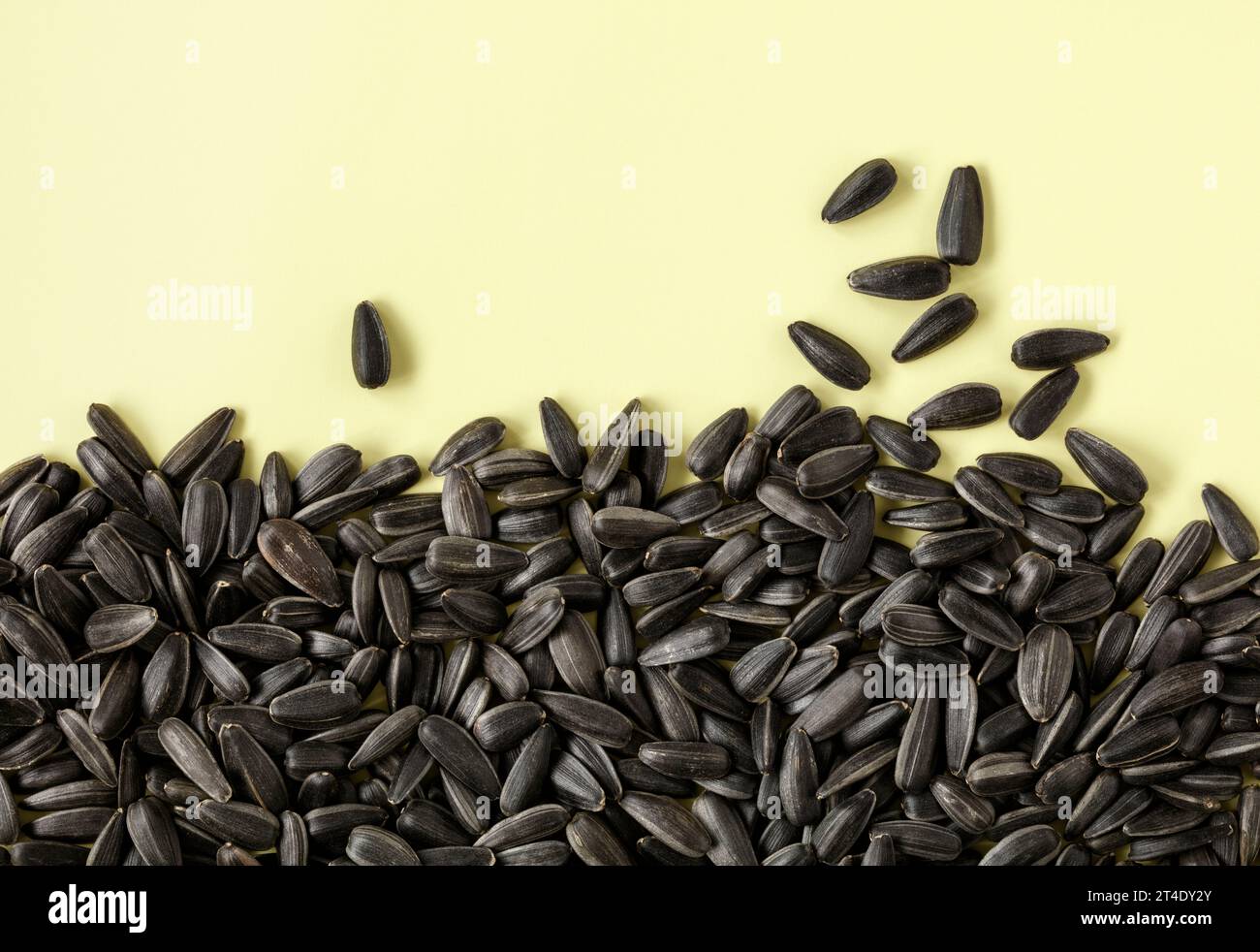 Black sunflower seeds in shells on plain yellow background Stock Photo