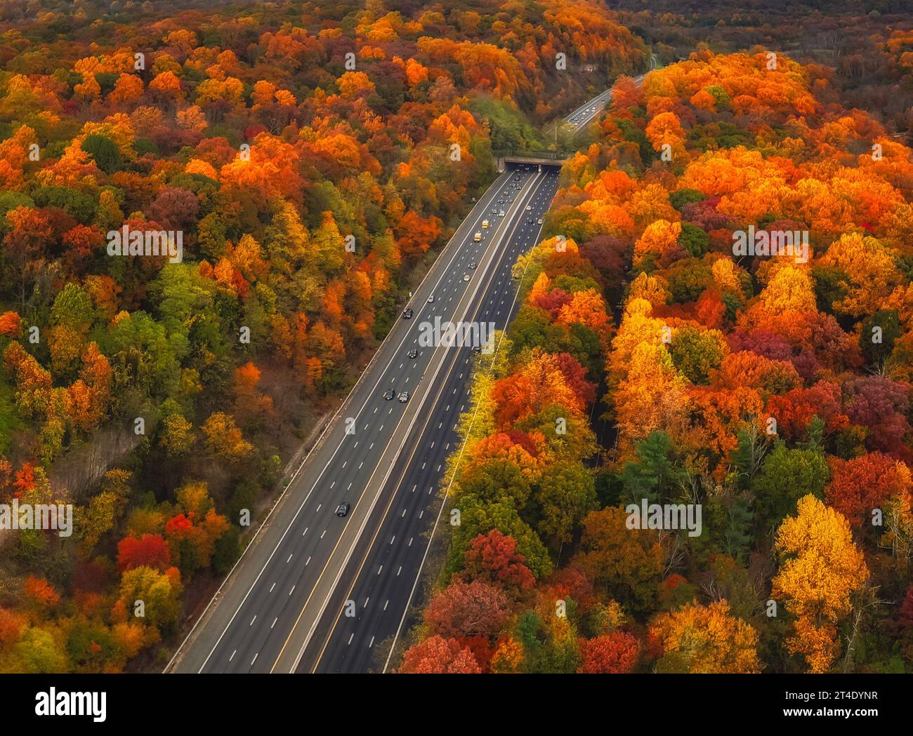 NJ Fall Peak Aerial View Of Peak Fall Foliage In New Jersey Stock NJ Fall Peak Aerial View Of Peak Fall Foliage In New Jersey Stock