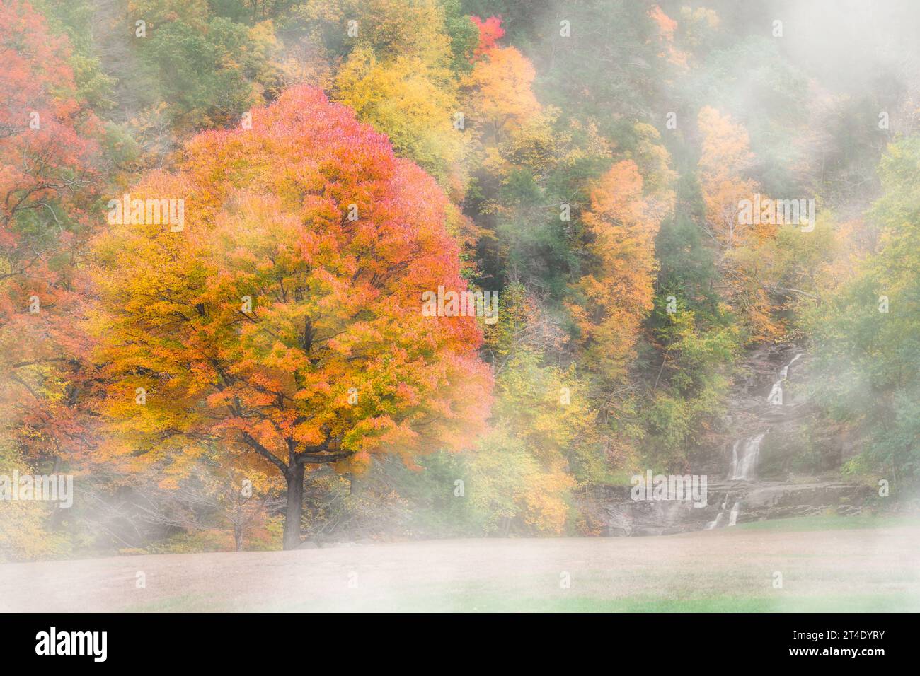Kent Falls State Park CT  - View to Kent Falls in Kent, Connecticut surrounded by the beautiful colors of fall foliage and fog. Stock Photo