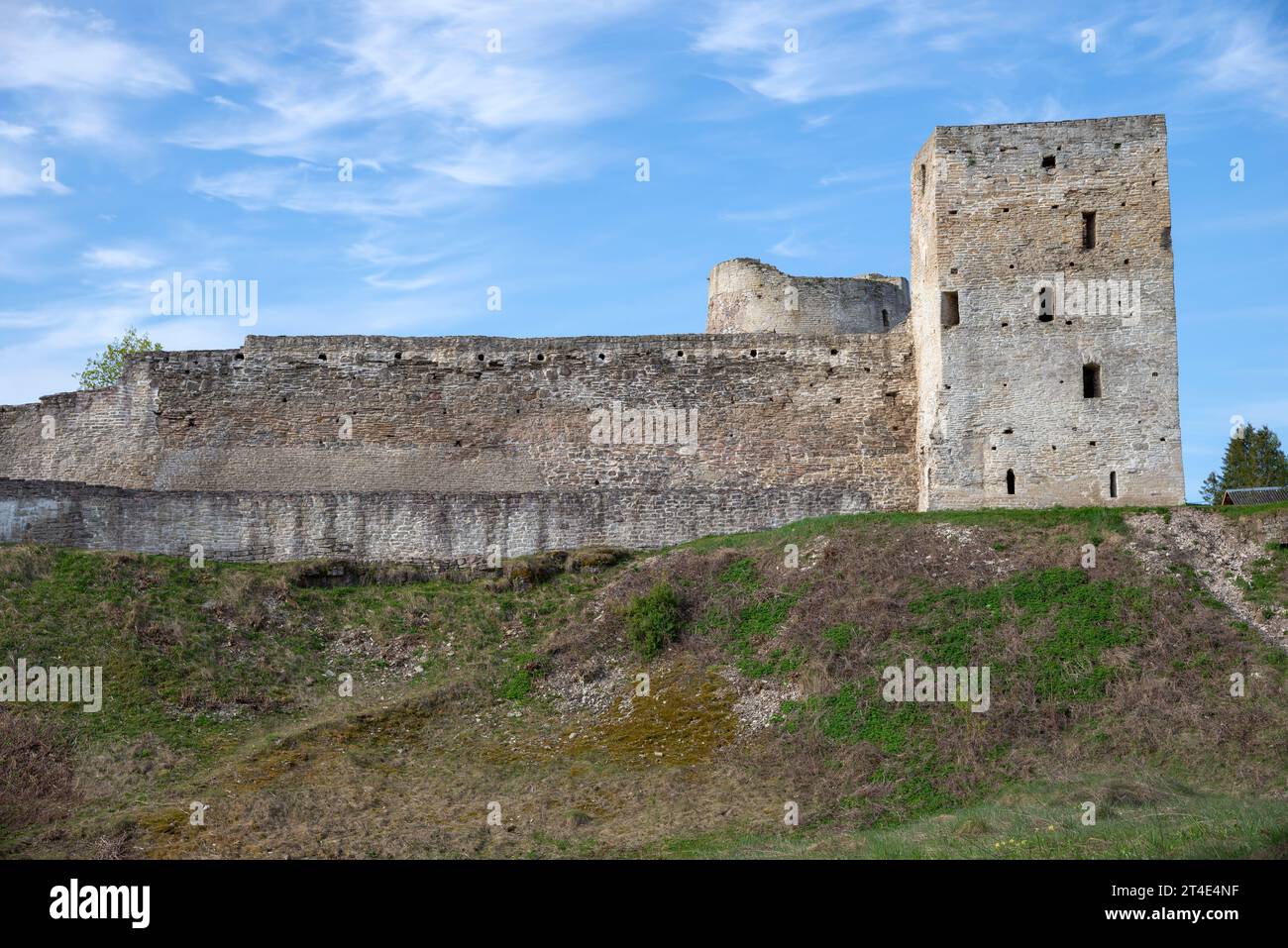 At the walls of a medieval fortress on a May day. Izborsk, Pskov region. Russia Stock Photo