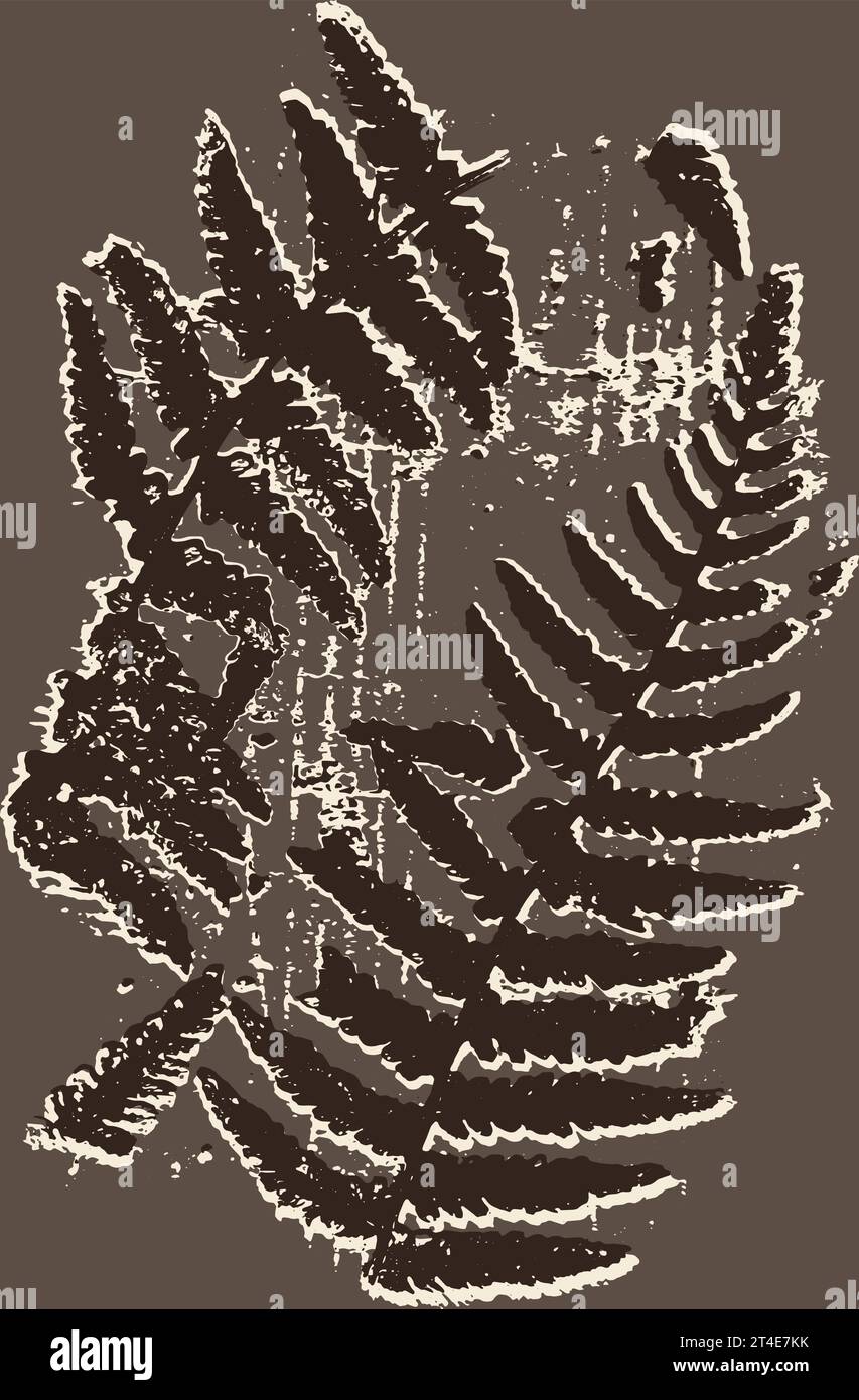 Hand drawn vector illustration fern hi-res stock photography and images ...