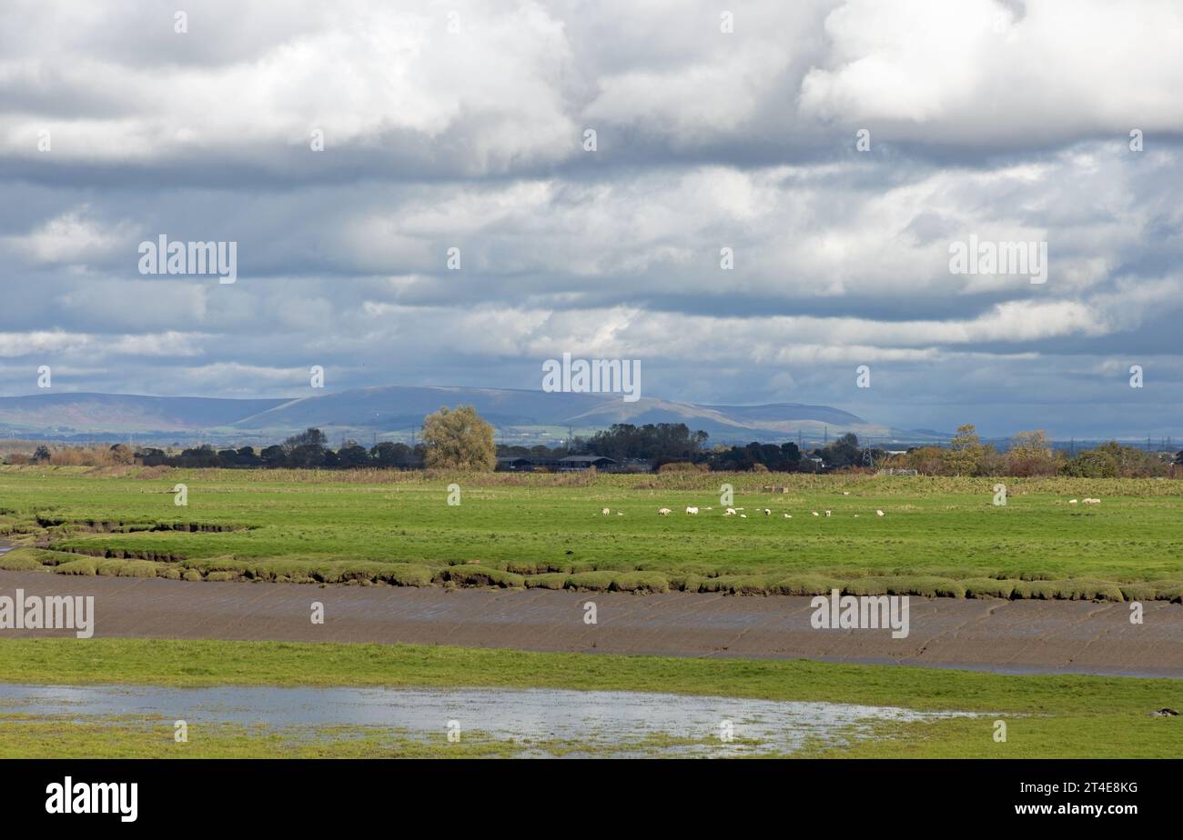 Flooded and waterlogged ground Becconsall Out Marsh looking toward the River Douglas at Hesketh Bank Lancashire England Stock Photo