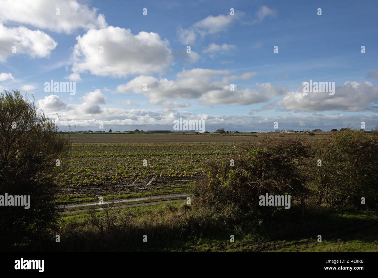 Rain flooded fields at Hesketh Bank between Preston and Southport viewed from the King Charles