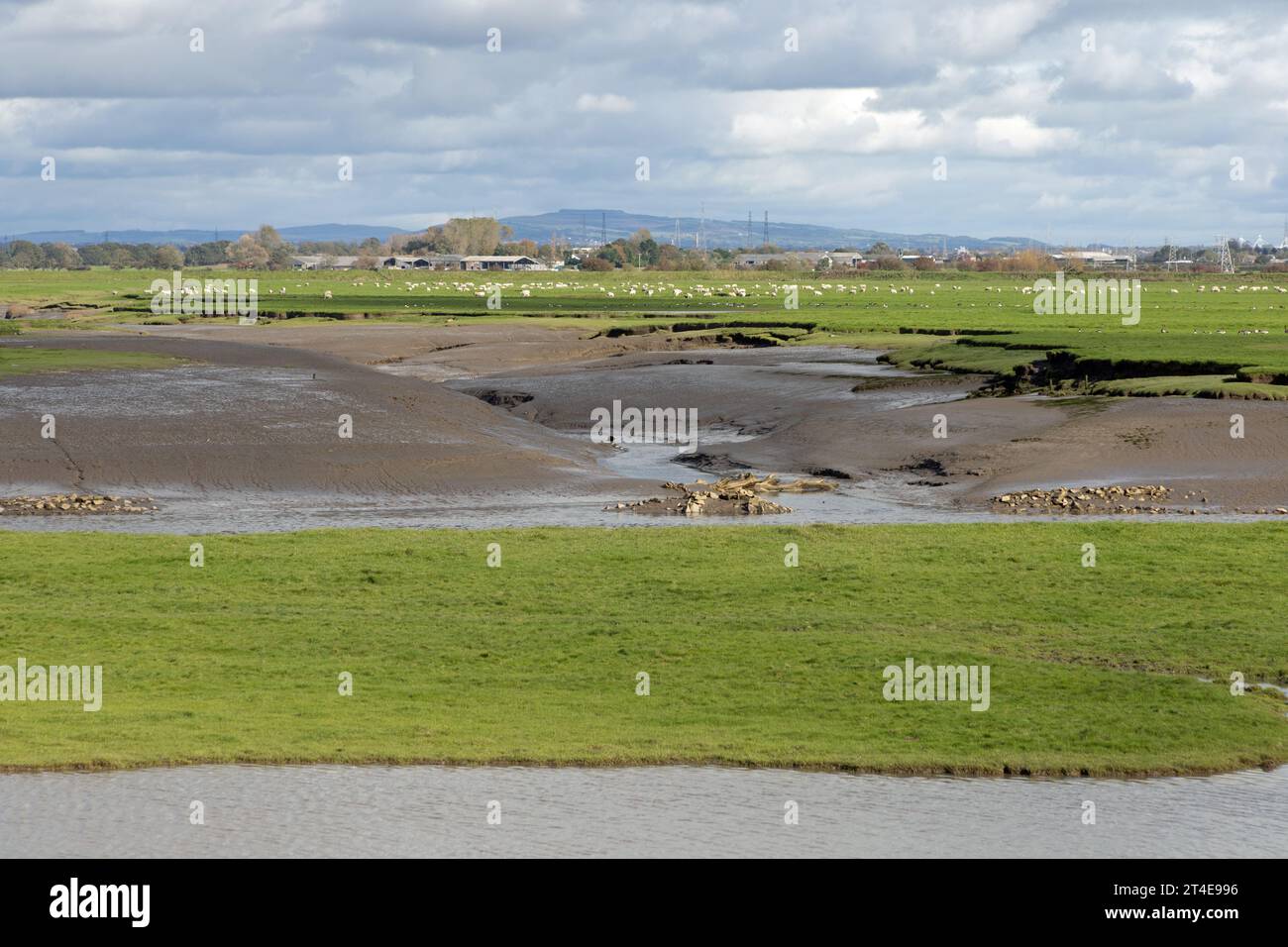 Waterlogged field and marsh on the banks of the River Douglas at