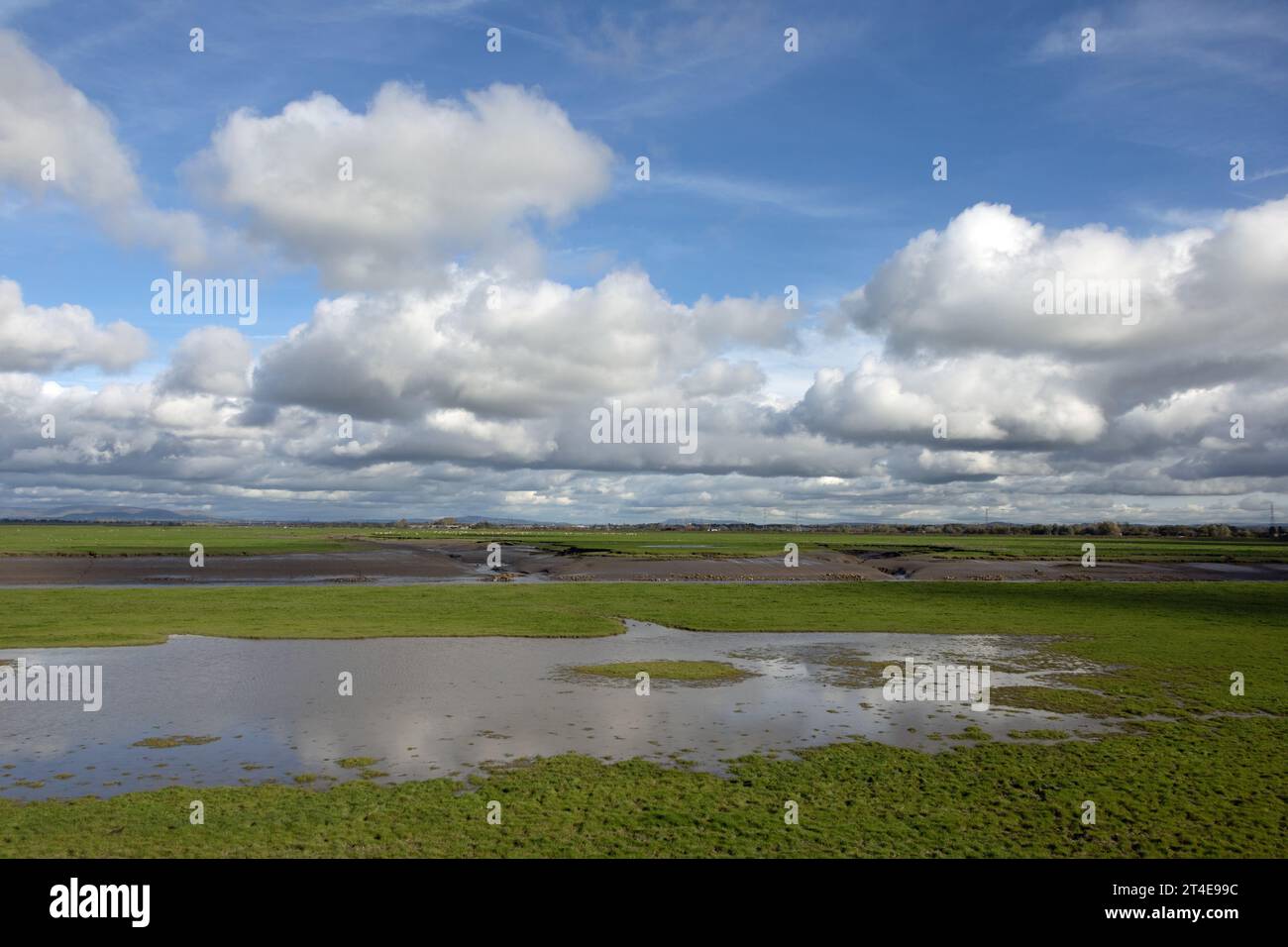 Waterlogged field and marsh on the banks of the River Douglas at Hesketh Bank Lancashire England