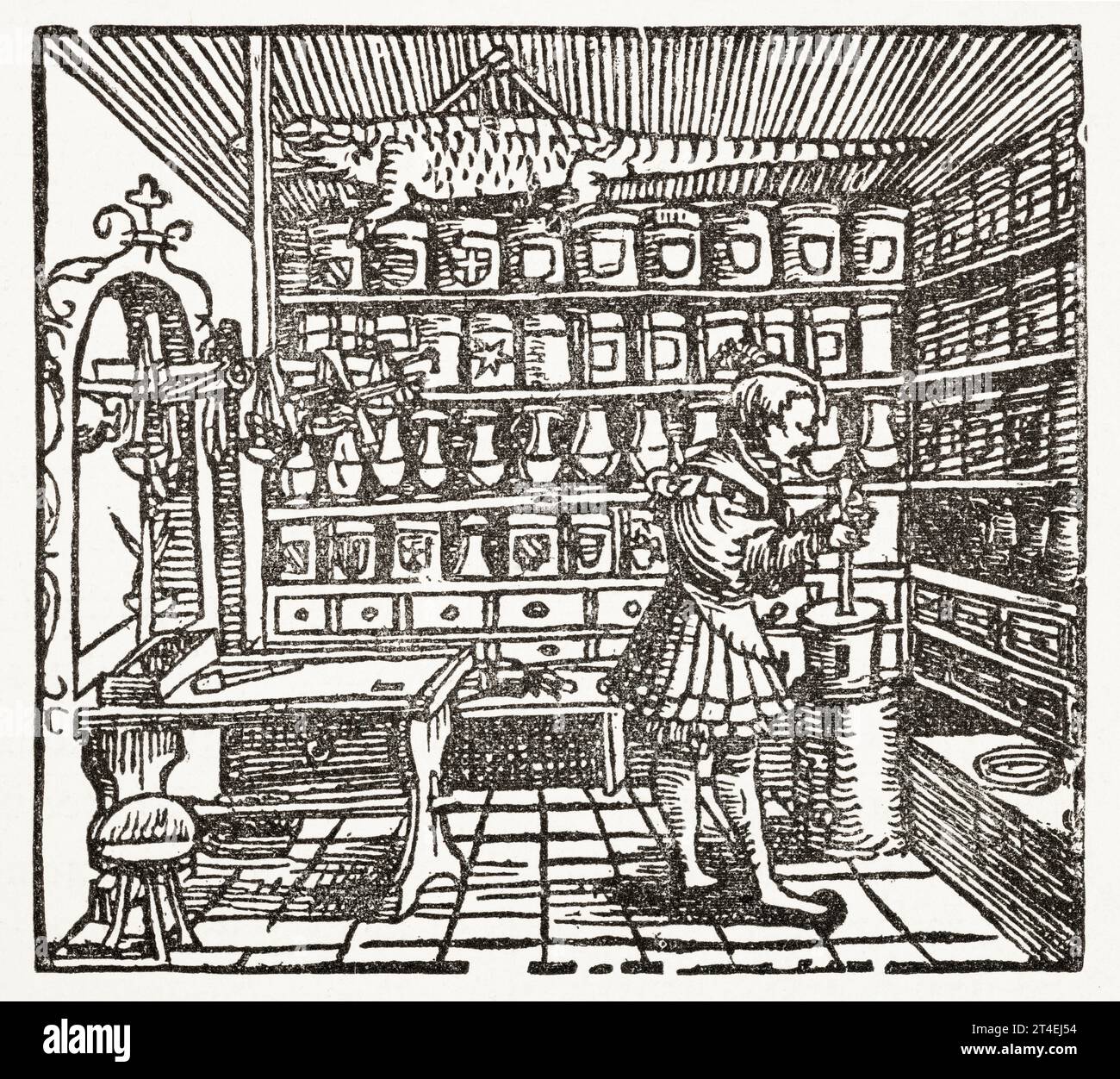 16th c. woodcut of apothecary's shop with dead crocodile; from 'Book of Confections, and a Family Physician', Gaulther Ryff, 1548. See Notes. Stock Photo
