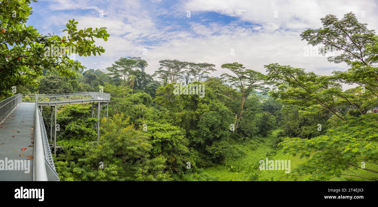 Look over Kent Ridge Park from tree top walk in Singapore Stock Photo ...