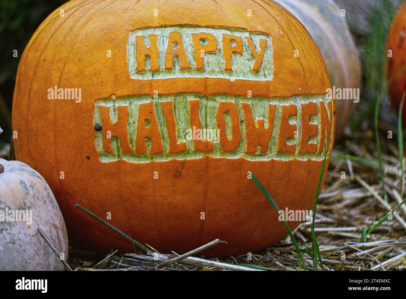 Orange pumpkin with the letters 'Happy Halloween' Stock Photo