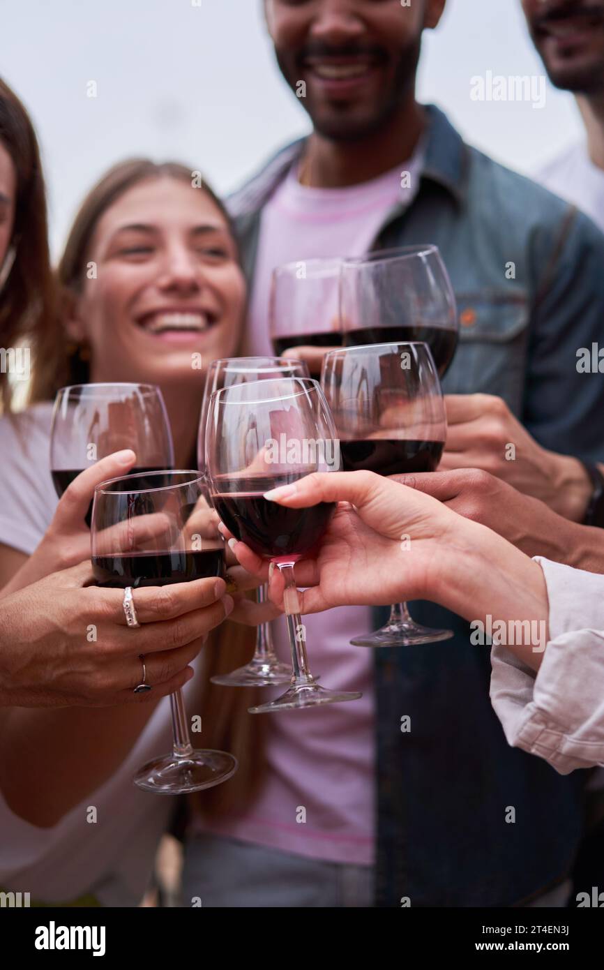 Friends toasting, celebrating together. People having fun outdoors ...