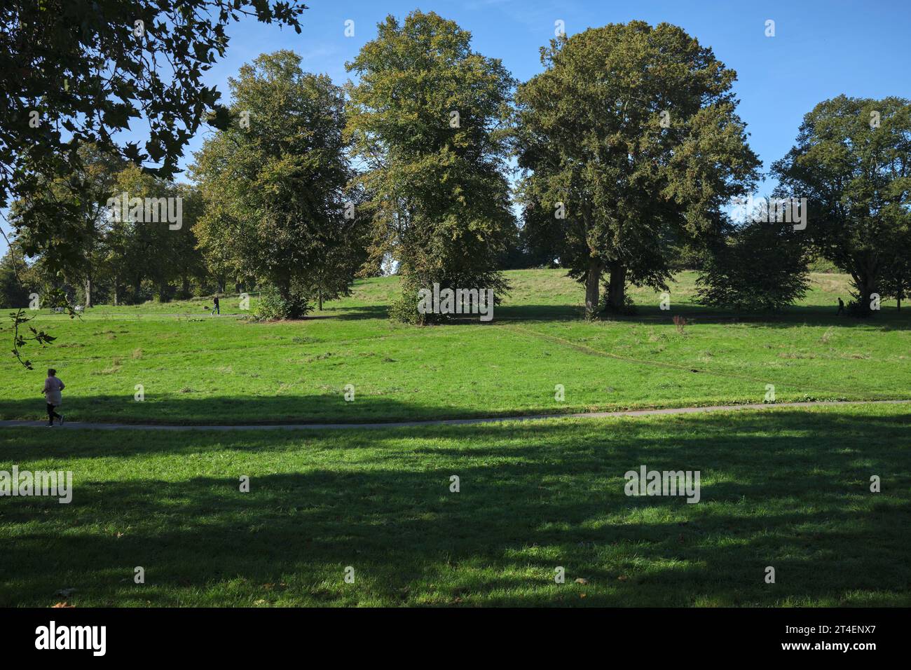 Victoria Park Bedminster Bristol England UK Stock Photo