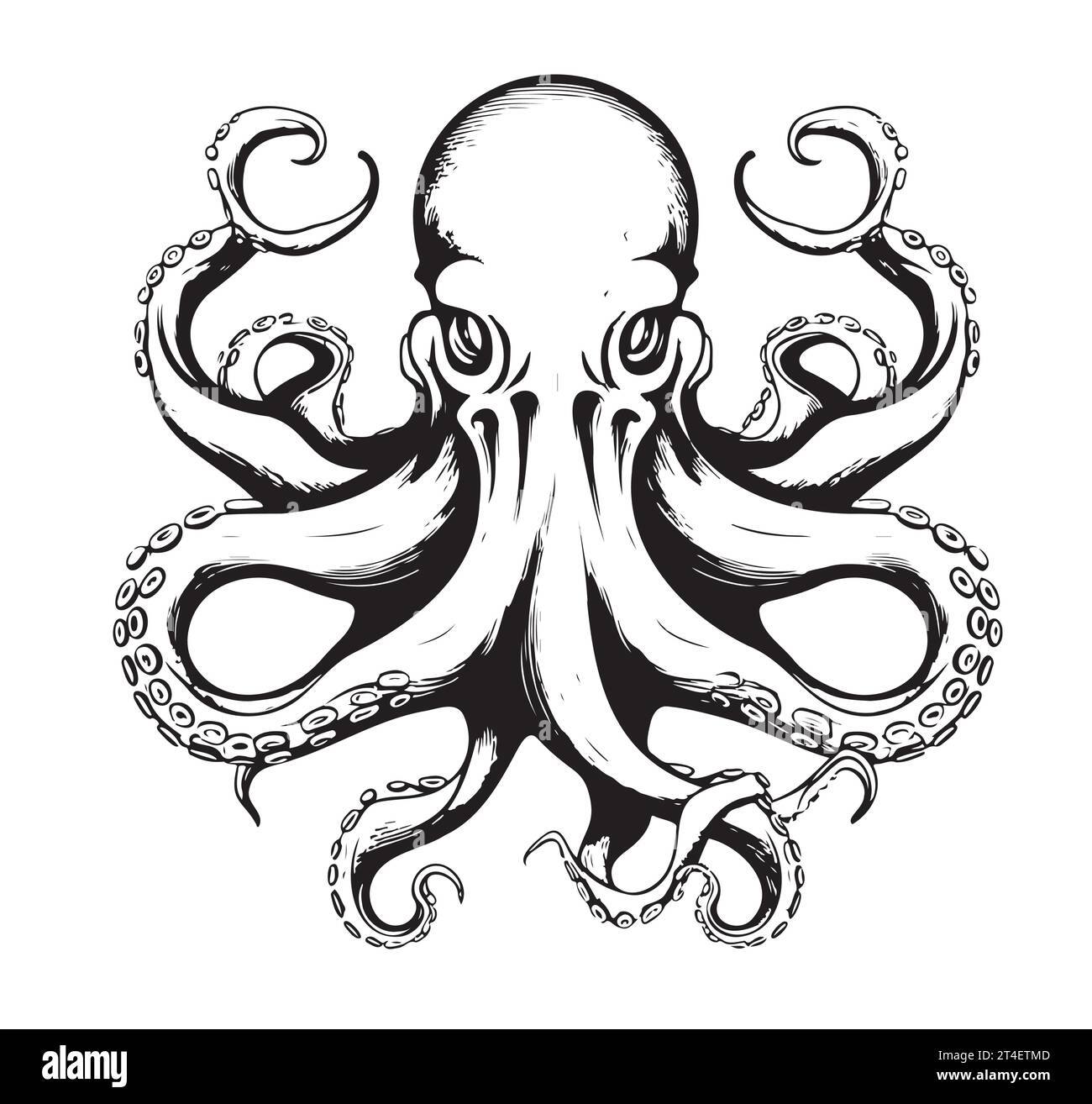 Octopus anatomy Stock Vector Images - Alamy