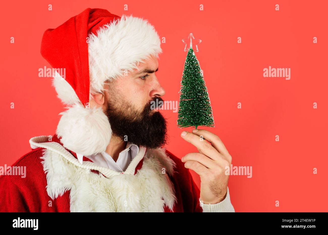 Christmas and New Year celebration. Closeup portrait of Santa Claus with little Christmas tree in hand. Serious bearded man in Santa costume with Stock Photo