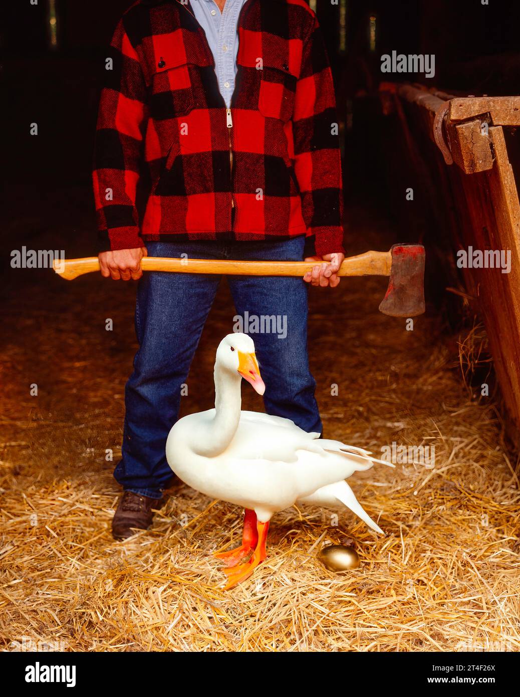 Killing the goose that laid the golden egg Stock Photo